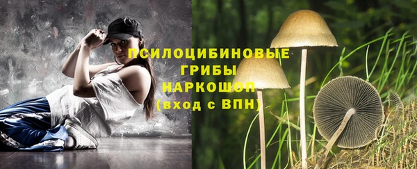 PSILOCYBIN Михайловка