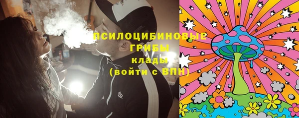 PSILOCYBIN Михайловка