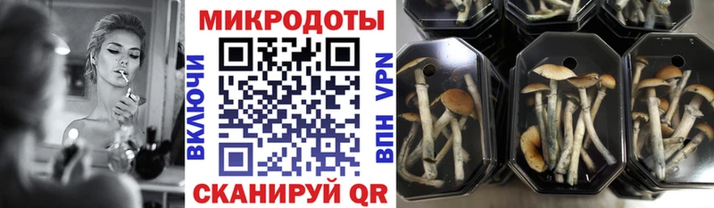 Галлюциногенные грибы Magic Shrooms  Купить где  Пикалёво 